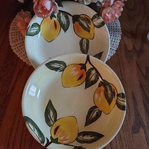 Nature's Home - 2------9 inch Pasta Bowls